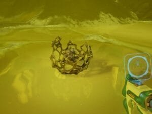 Axum Bacterial Culture