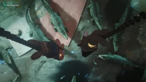 bondcroc